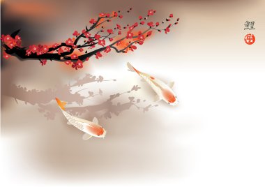 Koi sazan