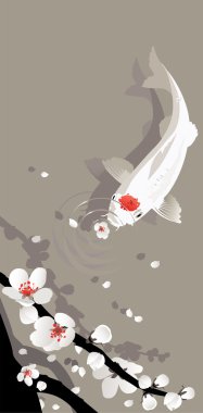 Koi sazan