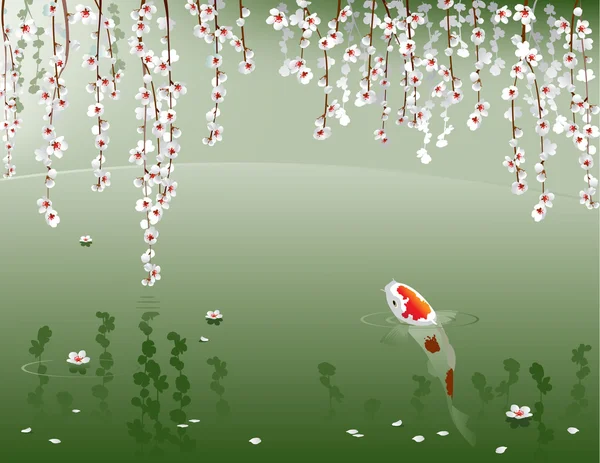 Koi sazan
