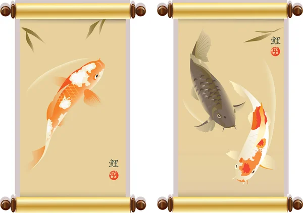 Koi sazan