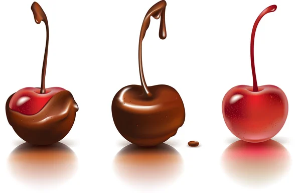 Třešně v čokoládě — Stockový vektor