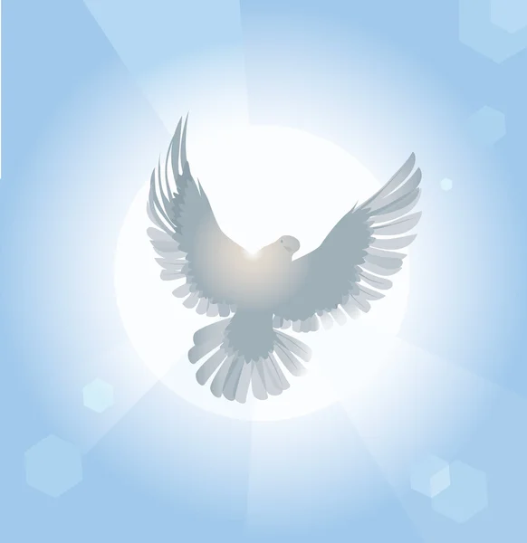 Летучий голубь — стоковый вектор