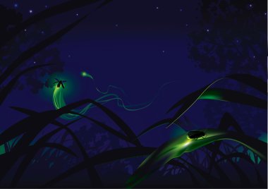 Fireflies clipart