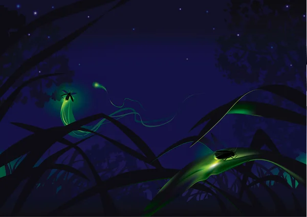 Fireflies — Stock Vector