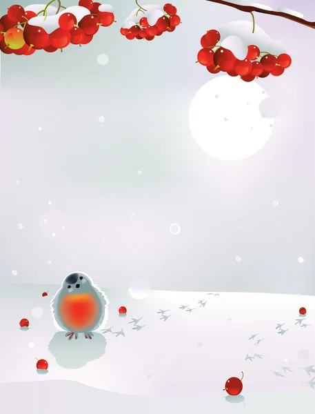 Bullfinch y bayas en invierno — Vector de stock