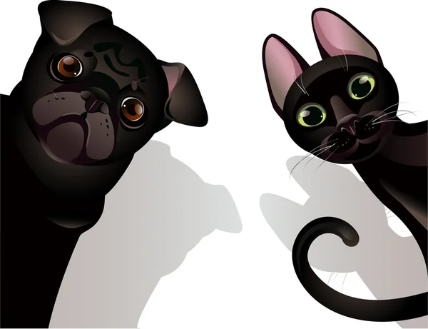 komik kedi ve köpek