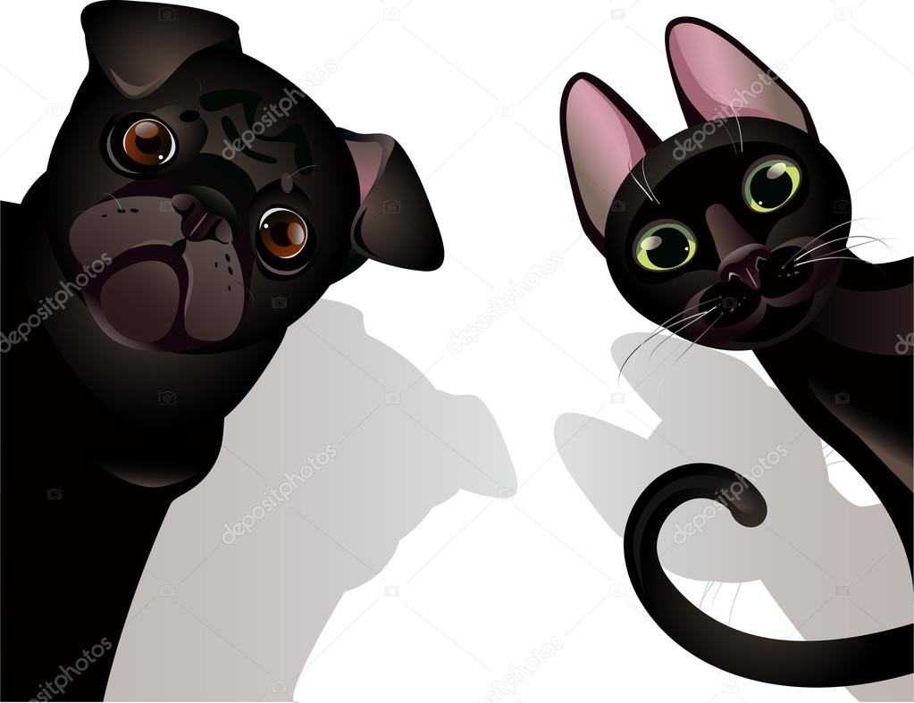 Lustige Katze Und Hund Stockvektor Koryaba 65332685