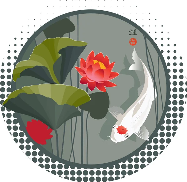 Koi sazan ve Lotus çiçeği