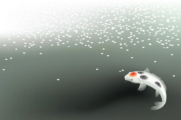 Koi sazan ve sacura yaprakları