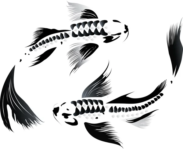 Couple of koi carp — Stock Vector