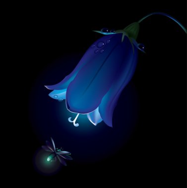 Campanula and firefly clipart