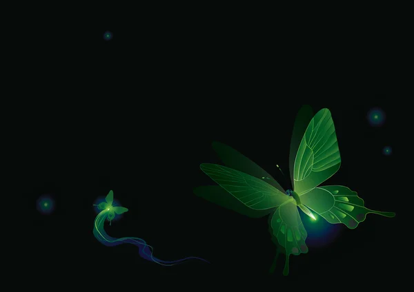 Karanlığın içinde ışık saçan kelebekler