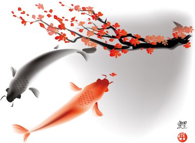 Koi carps ve sacura Şubesi