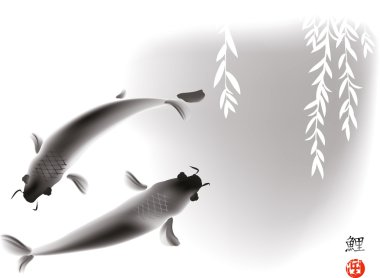 Koi carps ve willow
