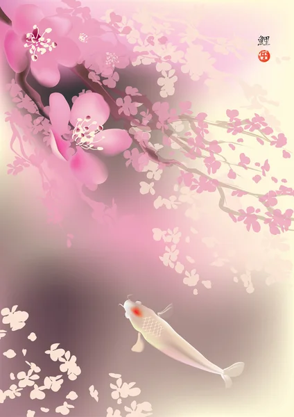 Koi et sacura de printemps — Image vectorielle