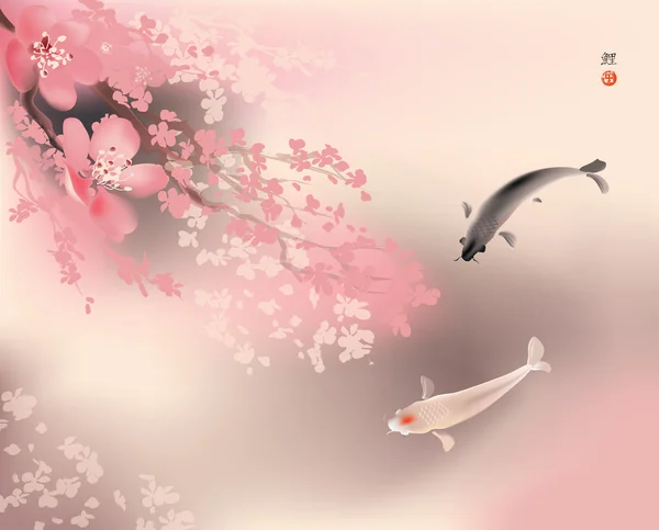 Koi y sacura de primavera — Vector de stock