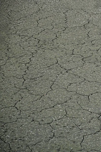 Texture of the cracked soil of the drained reservoir