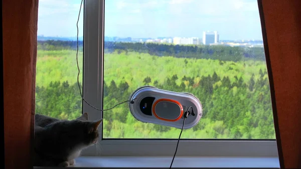 A robot window cleaner on the window inside and a cat on the window sill in the home room