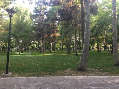 Şehir Yeşil Parkı ve bahçedeki ağaçla birlikte lambalar, Mashhad, İran