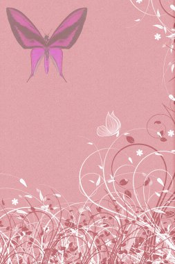 Pembe buttreflies mektup