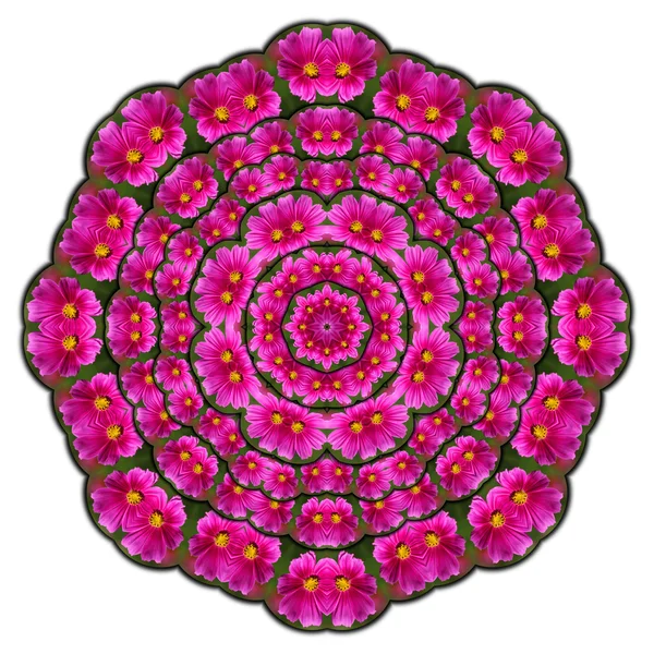 Caleidoscópio flores roxas — Fotografia de Stock