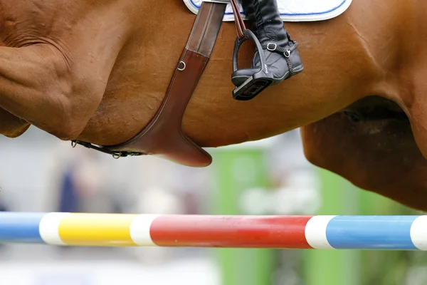 Showjumping, CHIO Aachen — Stock Photo, Image