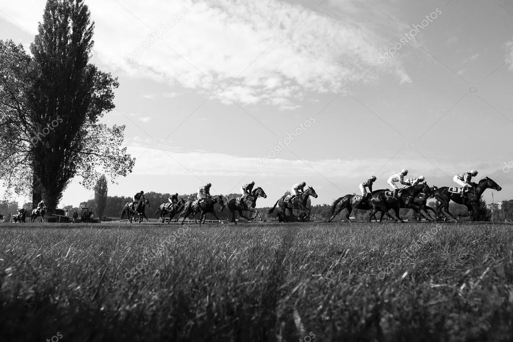 Horse racing Black&White