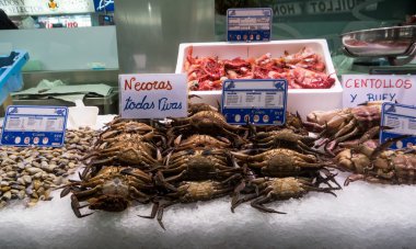 Valencia, İspanya balık pazarında, taze balık