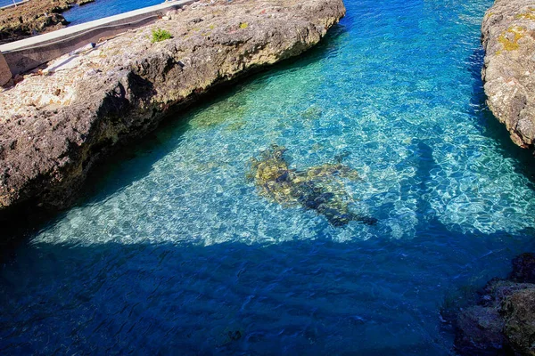 Vista Del Océano Cristalino Isla Caimán Simplemente Impresionante —  Fotos de Stock