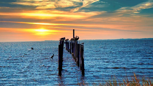 Schöner Sonnenuntergang Mit Vögeln Auf Old Pier Piles — Stockfoto