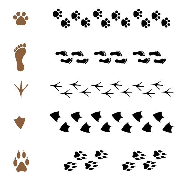 Set of  brushes in the form of animal tracks — Stock Vector