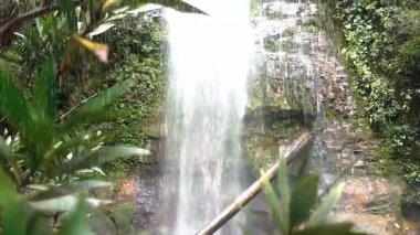 Ormanda güzel bir şelale