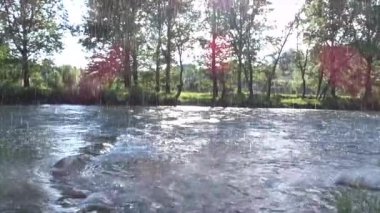 Nehir ve ormanlı güzel bir manzara.