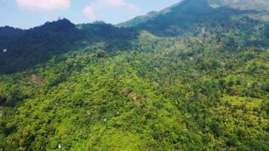 Tropikal bölgedeki dağ ormanlarının havadan görünüşü