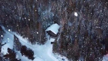 Çam Ormanı Animasyonunda Dağ Kulübesinde Sıcak Kar yağışı