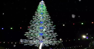 Beyaz ve mavi ışıkları olan yeni yıl ağacı