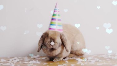 Şenlikli çelenkli tavşan.