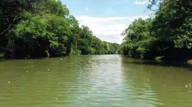 Parktaki nehrin güzel manzarası