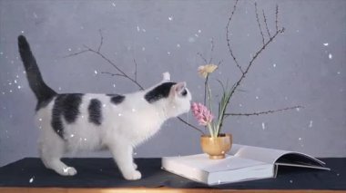 Gri arka planda çiçeklerle ve dekorasyonlarla oynayan sevimli kedi yavrusu.