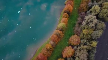 Ormanın güzel manzarası.