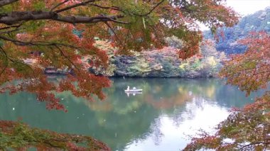 Renkli ağaçlarla dolu sonbahar manzarası