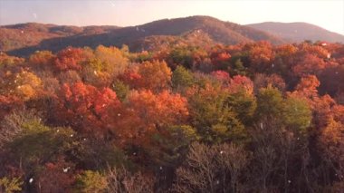 Ağaçlı güzel sonbahar manzarası