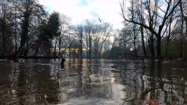 Ormandaki nehrin güzel manzarası