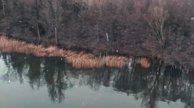 Kış Ormanında Donmuş Göl