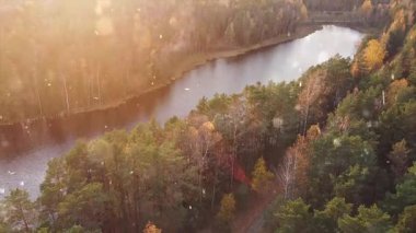 Ormandan geçen bir orman yolunun havadan görüntüsü.