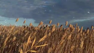 Doğanın güzel manzarası