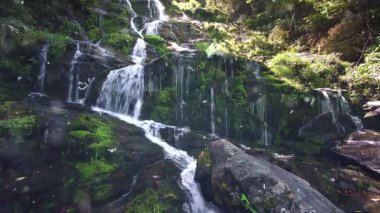 Madeira adasının dağlarında şelale