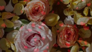 Güzel bir buket kırmızı gül