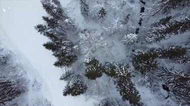 Ormandaki kış nehrinin havadan görünüşü
