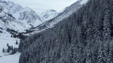 Karpat Dağları 'ndaki güzel dağ manzarası.